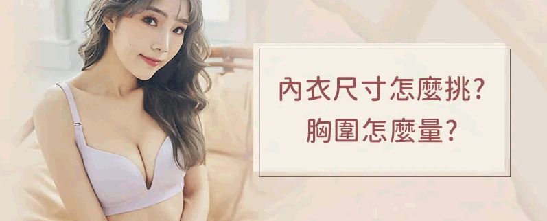 内衣尺寸图片